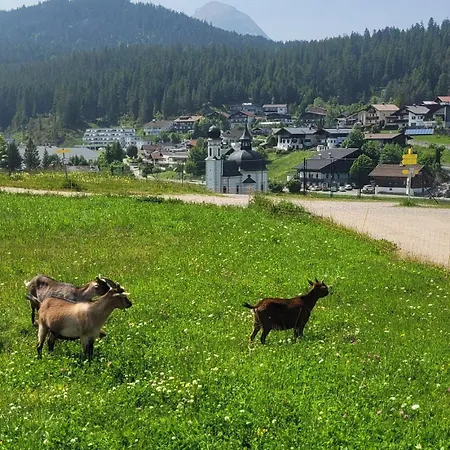 Apartmán Alpartement Seefeld *