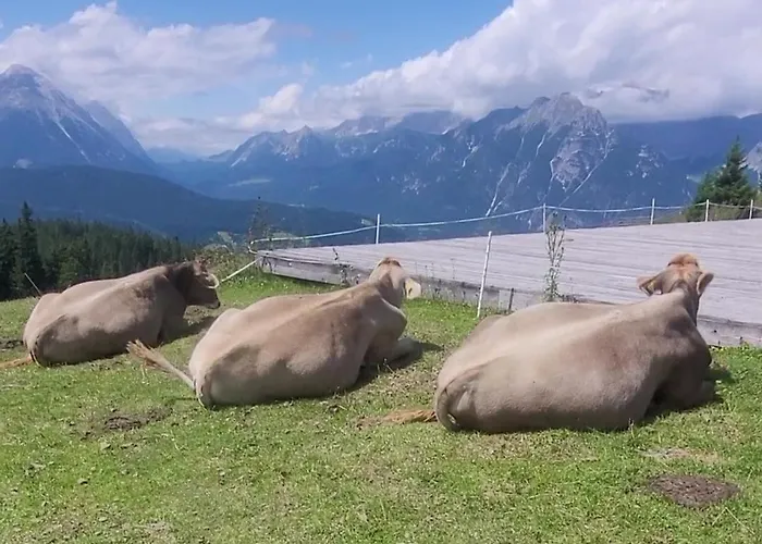 Alpartement Seefeld Apartmán *