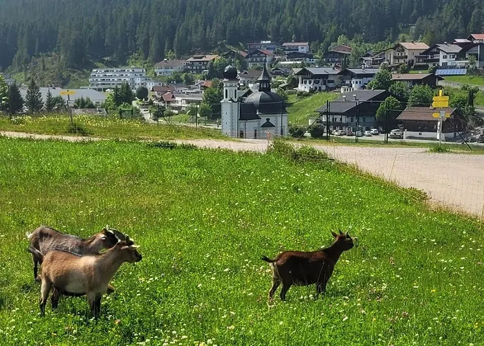 Appartement Alpartement Seefeld *